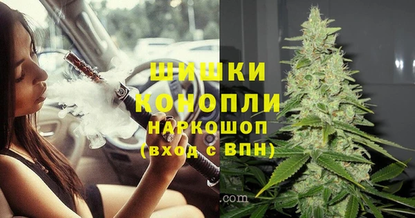 стаф Заволжье