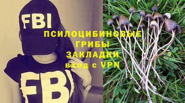 героин Ельня